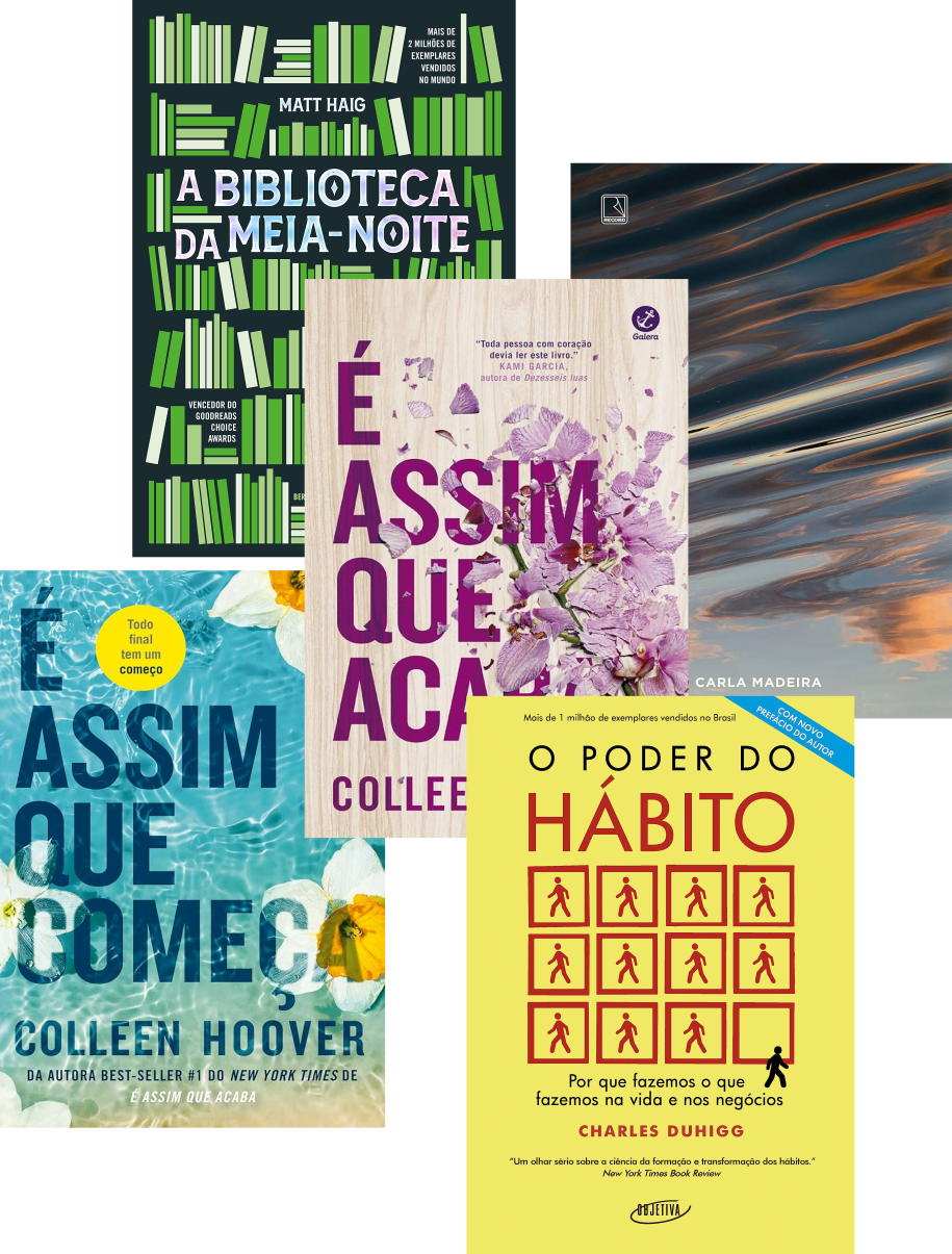 Pacote de livros da biblioteca W3B